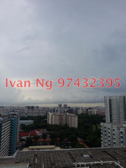 Blk 13 Upper Boon Keng Road (Kallang/Whampoa), HDB 5 Rooms #141642392